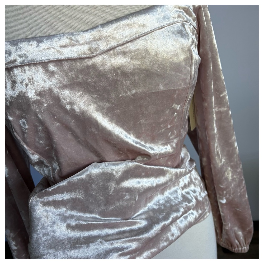 NWT Antropologie Jessima Fitted Elegant Velvet Long Sleeve Top, L - Picture 4 of 12